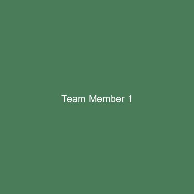 Team Member